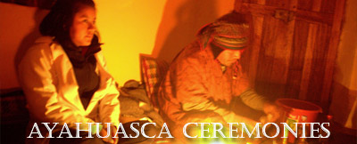 other ayahuasca retreats